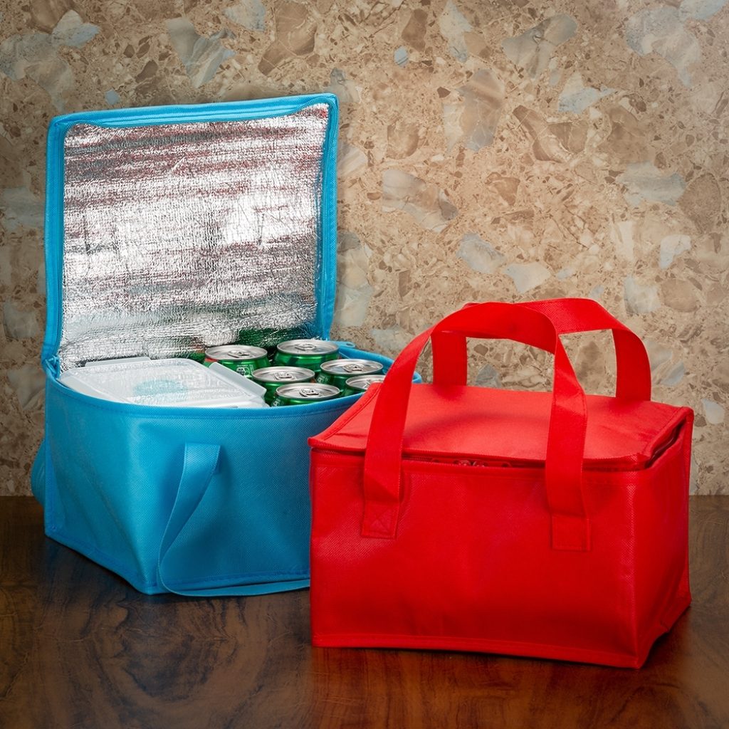 2 - Bolsa Térmica 13L